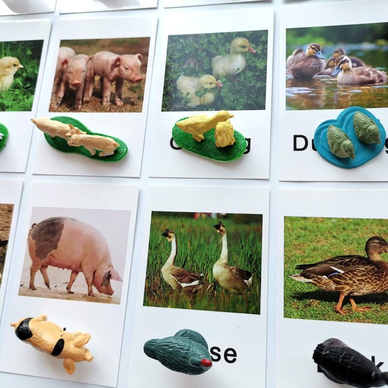 Miniature Farm Animal Figurines With Matching Cards - Learning Toys Montessori Preschool Language Materials (6)