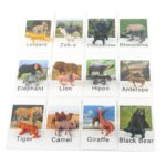 Miniature Forest Animal Figurines Matching Cards - Learning Toys for 3+ Year Olds​ (8)