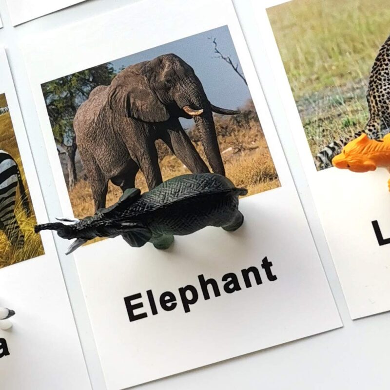 Miniature Forest Animal Toy Figurines With Matching Cards - Speech Language Toys (3)