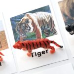 Miniature Forest Animal Toy Figurines With Matching Cards - Speech Language Toys (4)