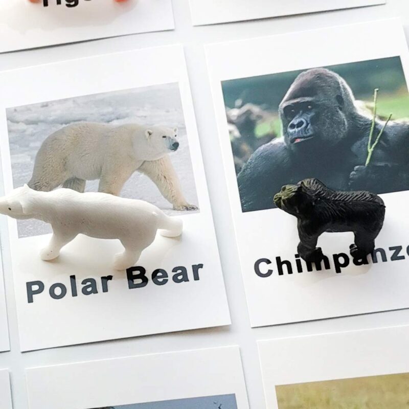 Miniature Forest Animal Toy Figurines With Matching Cards - Speech Language Toys (5)