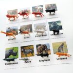 Miniature Forest Animal Toy Figurines With Matching Cards - Speech Language Toys (6)