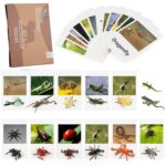 Miniature Insect Animal Figurines with Matching Cards - Learning Toys Montessori Language Materials
