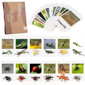 Miniature Insect Animal Figurines with Matching Cards - Learning Toys Montessori Language Materials