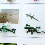 Miniature Insect Animal Figurines with Matching Cards - Learning Toys Montessori Language Materials (5)