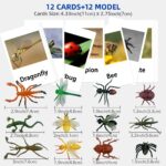 Miniature Insect Animal Figurines with Matching Cards - Learning Toys Montessori Language Materials (8)