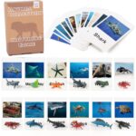 Ocean Animal Figurines Game Cards - Educational Toys For Preschoolers Montessori Language Materials (1)