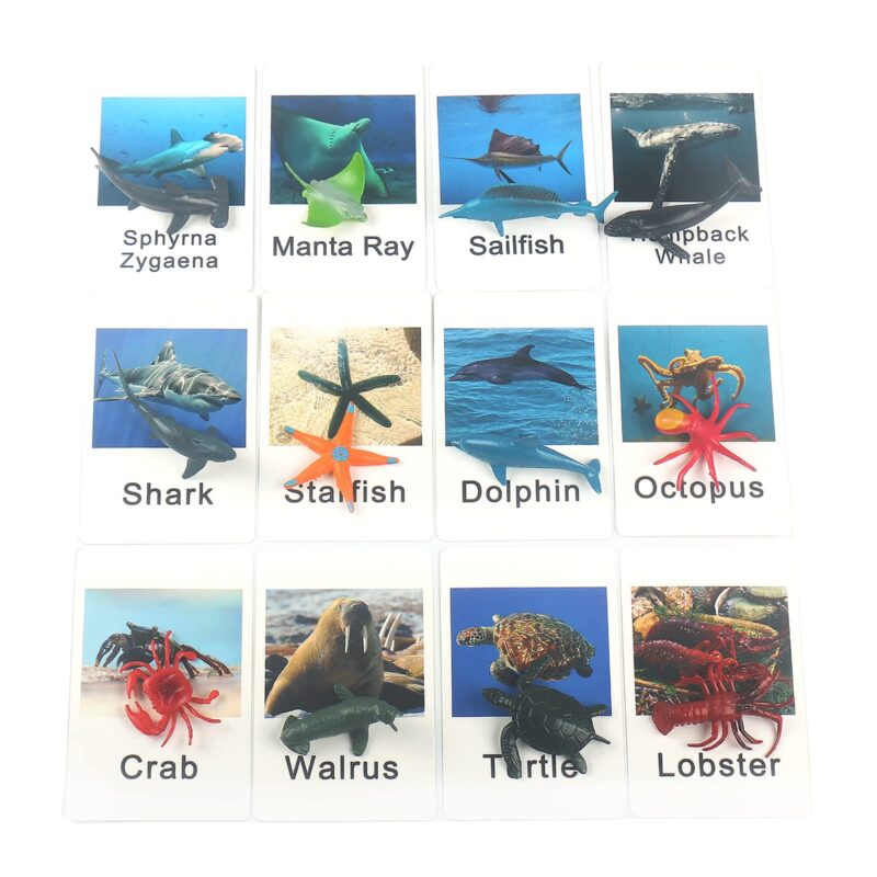 Ocean Animal Figurines Game Cards - Educational Toys For Preschoolers Montessori Language Materials (2)