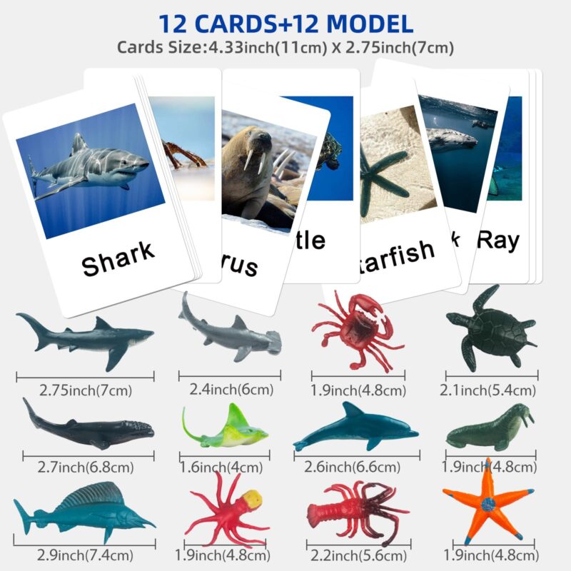 Ocean Animal Figurines Game Cards - Educational Toys For Preschoolers Montessori Language Materials (4)