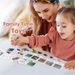Wild Animals Tadpole To Frog Life Cycle Sheet - Mosquito A Bug's Life Toys​ (7)